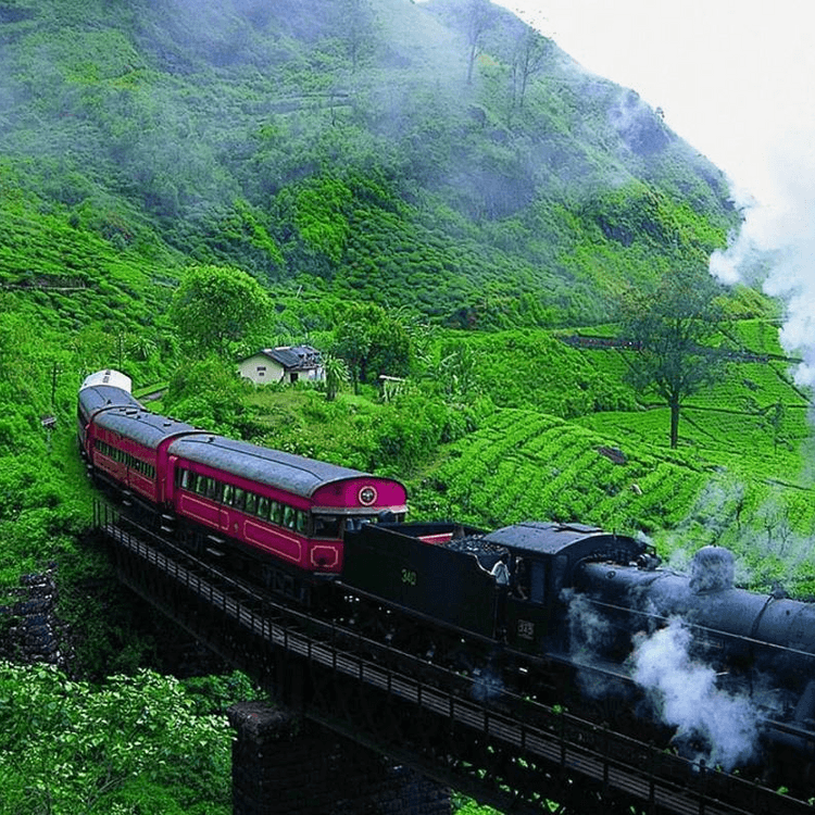 Lifetime Experience in Sri Lanka - Private Trip