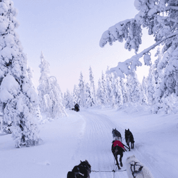 ‎‎Explore Russia in Winter - ‎‎Explore Russia in Winter