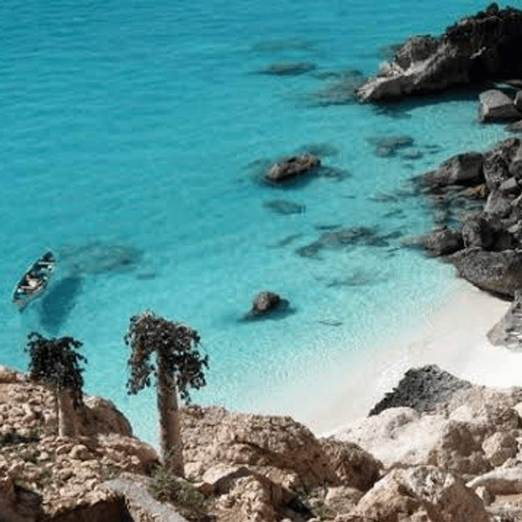 Uncover the wonders of Socotra with Hello Explorer